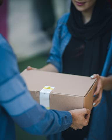Project Delivery