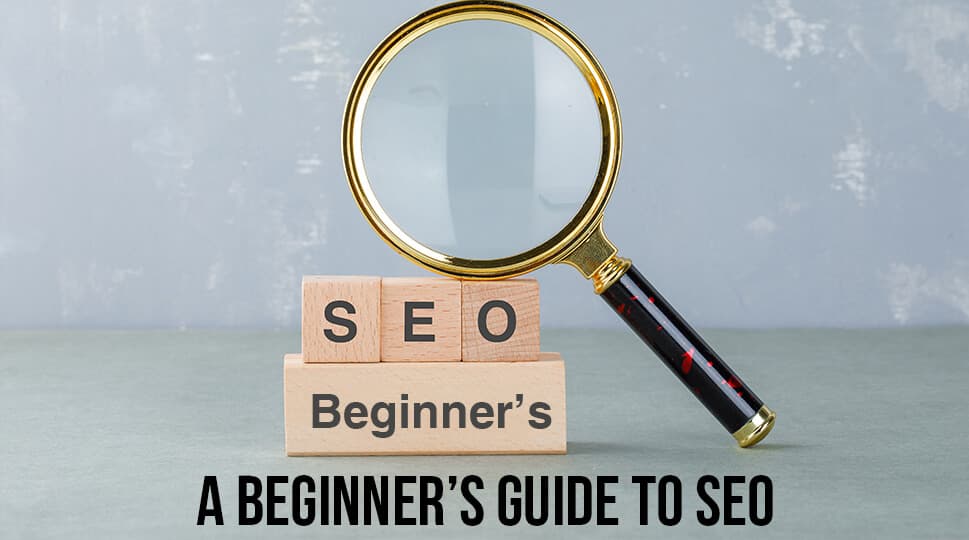 A Beginner’s Guide to SEO